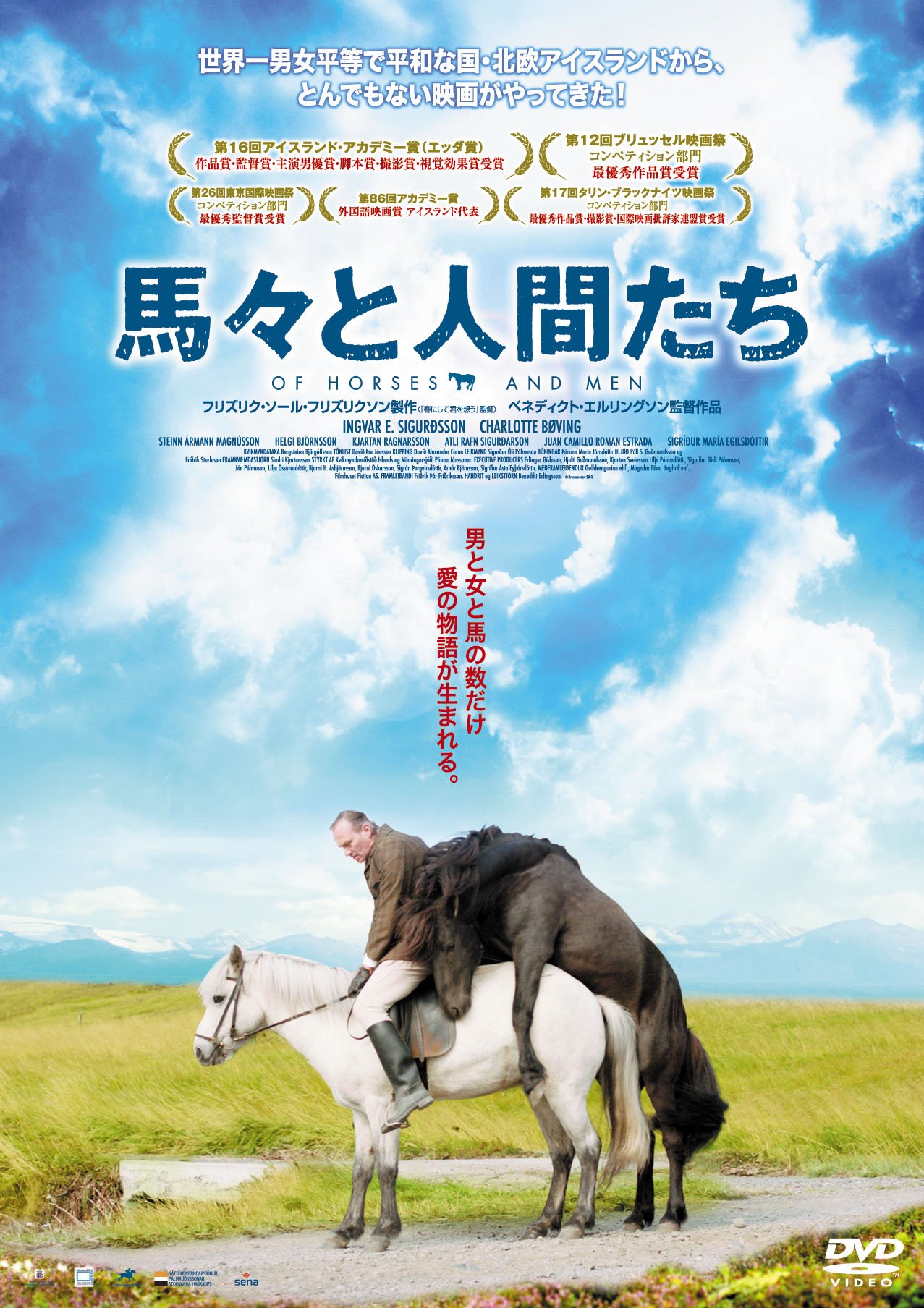 Amazon.co.jp: 馬々と人間たち [DVD] : イングヴァル・E・シグルズソン